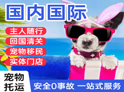 石家庄航空运输国际宠物托运 【国